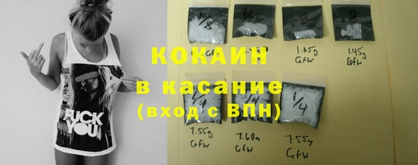 шишки Осинники